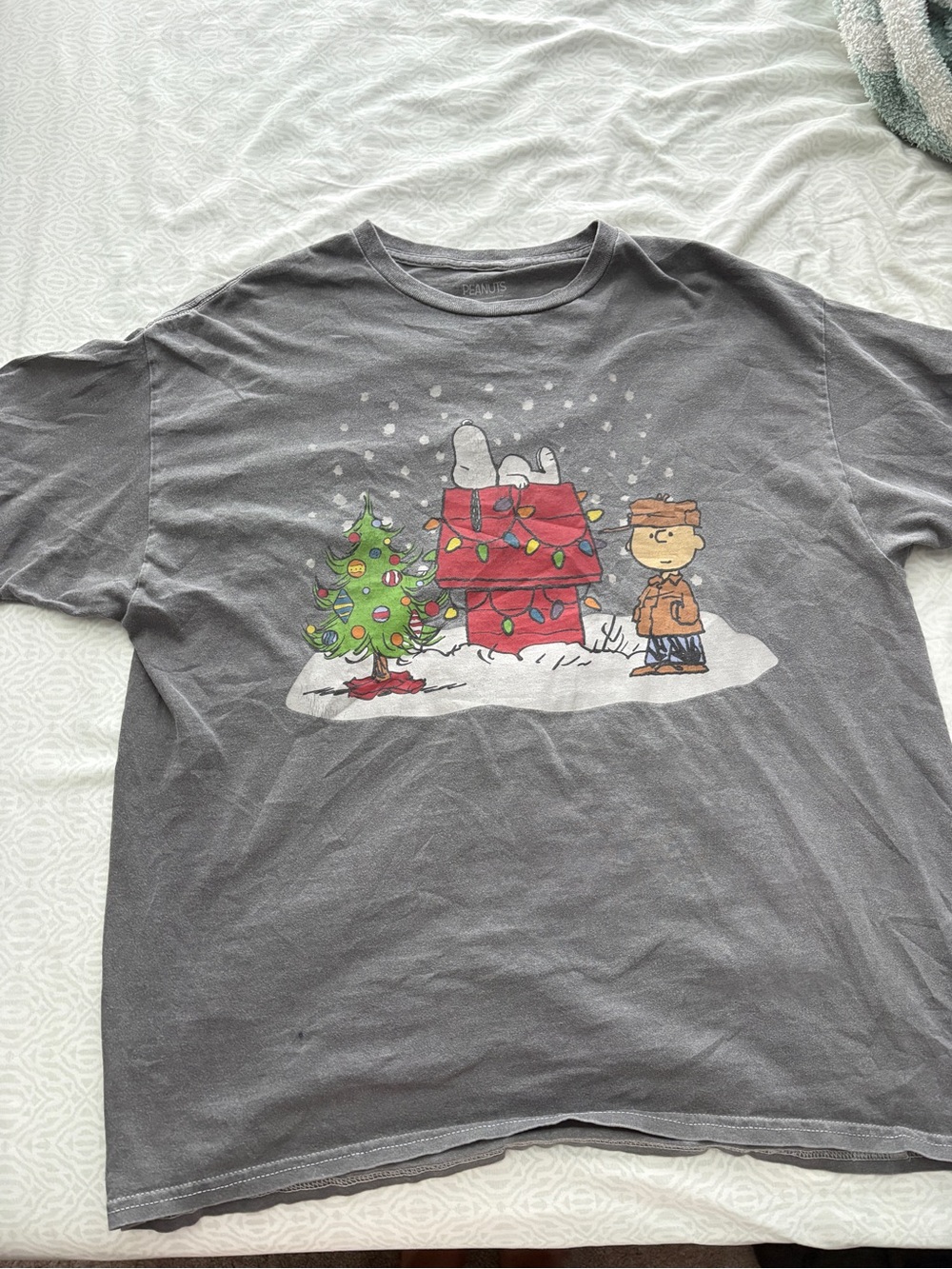 Peanuts Gray Holiday Snoopy & Charlie Brown Tee
